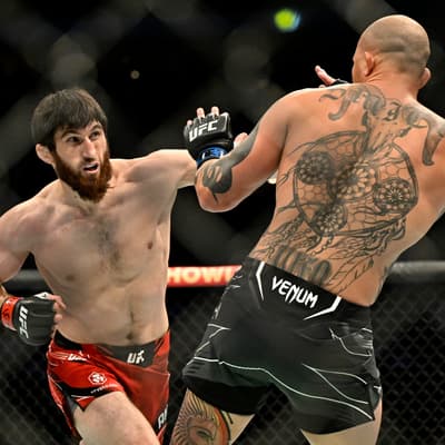UFC et Boxe pour une nuit de champions sur RMC Sport
