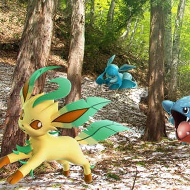 Les Pokémon de la quatrième génération arrivent sur Pokémon GO. Parmi eux, on trouve Phyllali et Givrali, évolution d’Evoli.