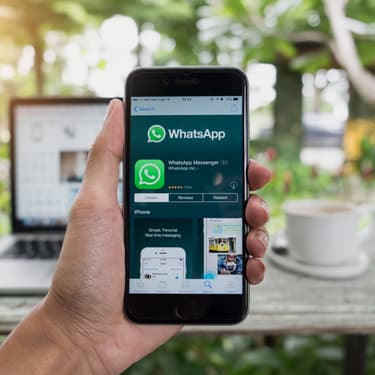 Tuto WhatsApp : comment transférer son historique d'iPhone à Android ?