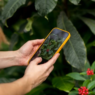 iPhone : une fonctionnalité cachée de l'app Photos très utile