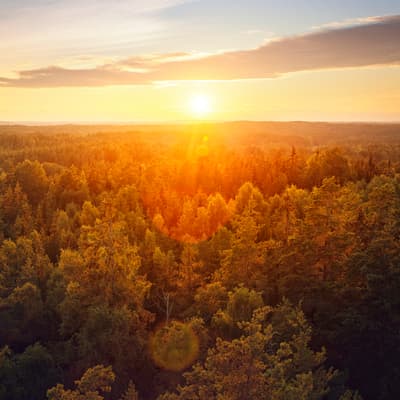 SFR lance Le Cap, un plan global pour une politique durable