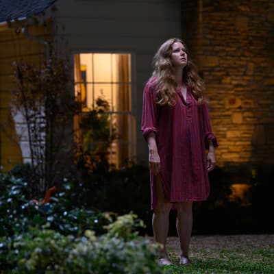 Nightbitch : la maternité transforme Amy Adams dans cette comédie d'horreur sur Disney+