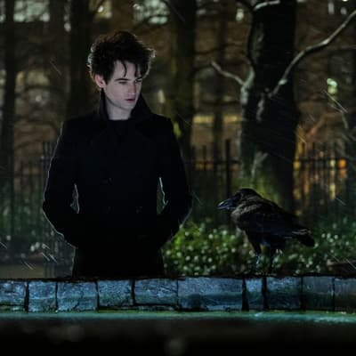 Sandman : date, intrigue, casting... Tout ce qu'on sait de la saison 2