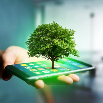 Semaines du Développement Durable chez SFR : écologie et économies