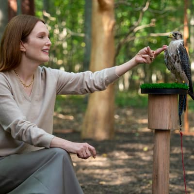 Netflix : 10 séries phares de l'année 2025 à rattraper