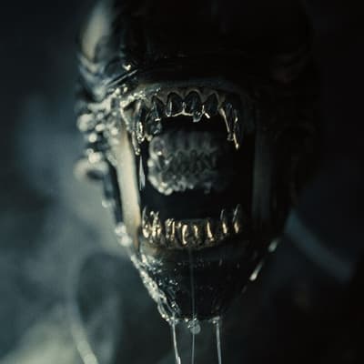 Alien Romulus sur Disney+ : vers un retour aux sources horrifiques de la franchise