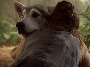 Game of Thrones : que sont devenus les loups des Stark ?