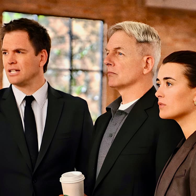 NCIS DiNozzo et Ziva de retour dans un nouveau spinoff SFR ACTUS