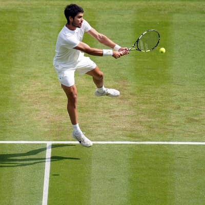 Wimbledon 2024 : favoris, Français en lice, comment suivre les matchs... On vous dit tout !