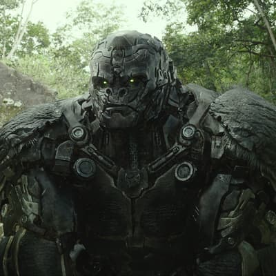 Transformers : où (re)voir Rise of the Beasts (et les autres films de la saga) ?