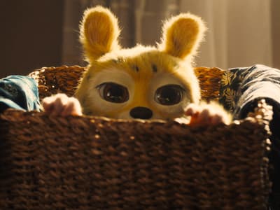 Marsupilami : faut-il avoir vu le premier film avant d’aller au cinéma ?