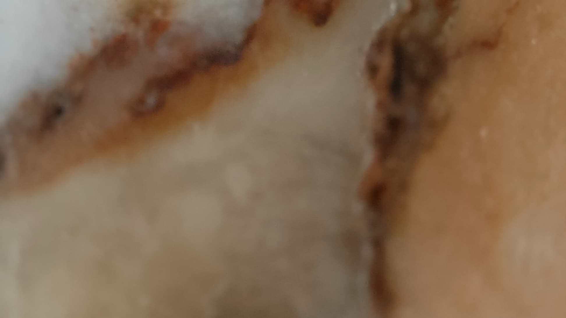 Photo prise avec le zoom x30 (microscope) Photo prise avec le zoom x30 (microscope)