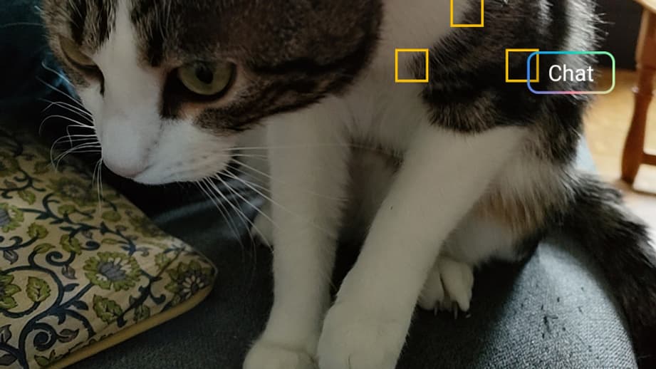 Le chat Sauron n'est donc pas un chien, merci OPPO Find X3 Lite