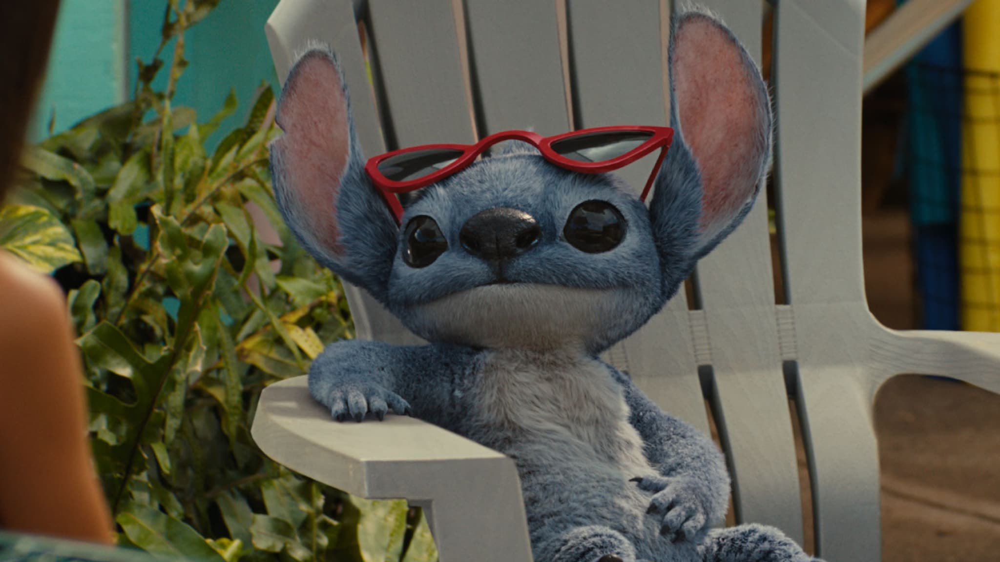 Stitch dans le live action "Lilo & Stitch" Stitch dans le live action "Lilo & Stitch"