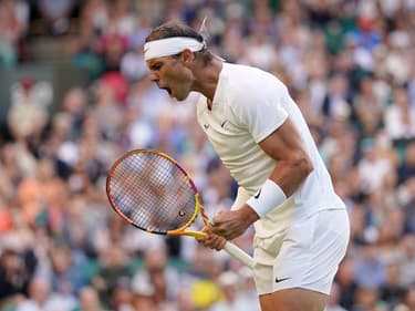 Wimbledon : les affiches des quarts de finale
