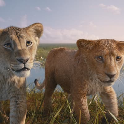 Bon plan : profitez de Disney+ à 1,99 euro par mois pendant 3 mois avec le Bouquet Famille chez SFR