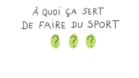 Découvrez les réponses aux questions que se posent les enfants dans "1 jour 1 question" sur SFR Kids Récré. 
