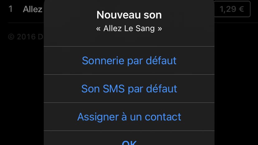 Il est possible d'attribuer une chanson en sonnerie pour un contact spécifique.