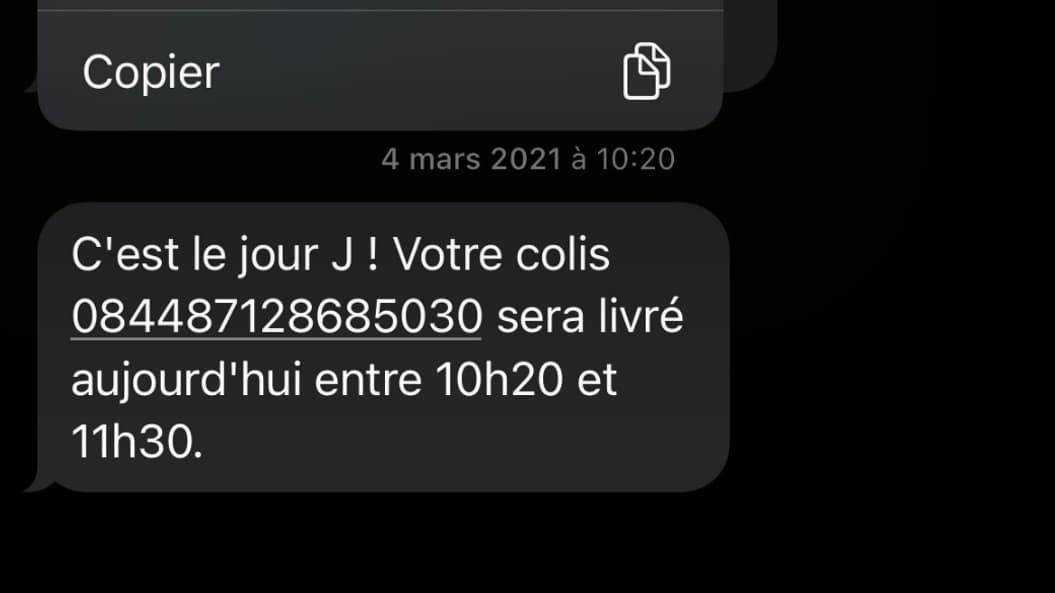 Deux options s'offrent à vous quand vous cliquez sur votre numéro de suivi via Messages sur iPhone