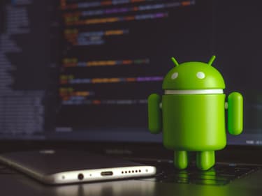 Android 12 : les nouveautés prévues, dont le partage du Wifi