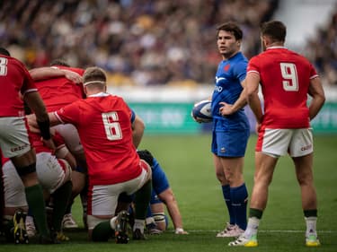 Coupe du monde de rugby 2023 : suivez toute la compétition sur RMC